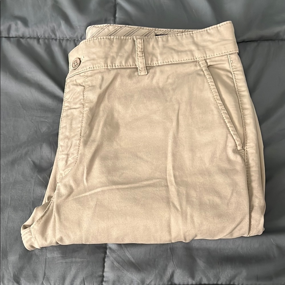 Nodus Flat Front Cargo Pant Size 34 (EU 44)
